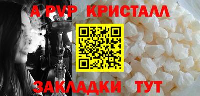 крисы Можга