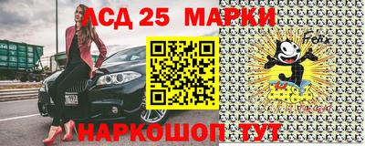 крисы Можга