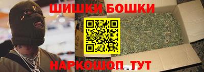 крисы Можга