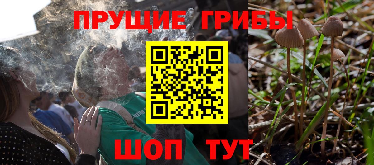 где купить наркоту  Псилоцибиновые грибы ЛСД  Вход с VPN  Тимашёвск 